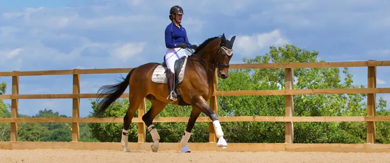 Woof Wear Vision Polo Bandages - Champagne-2